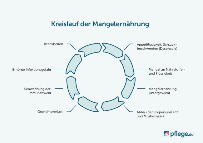 Kreislauf Mangelernährung