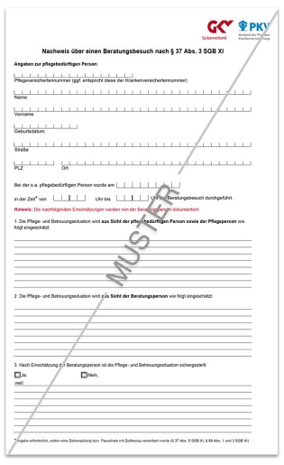 Beratungseinsatz Formular Seite 2