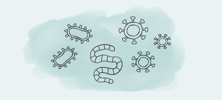Infektionskrankheiten