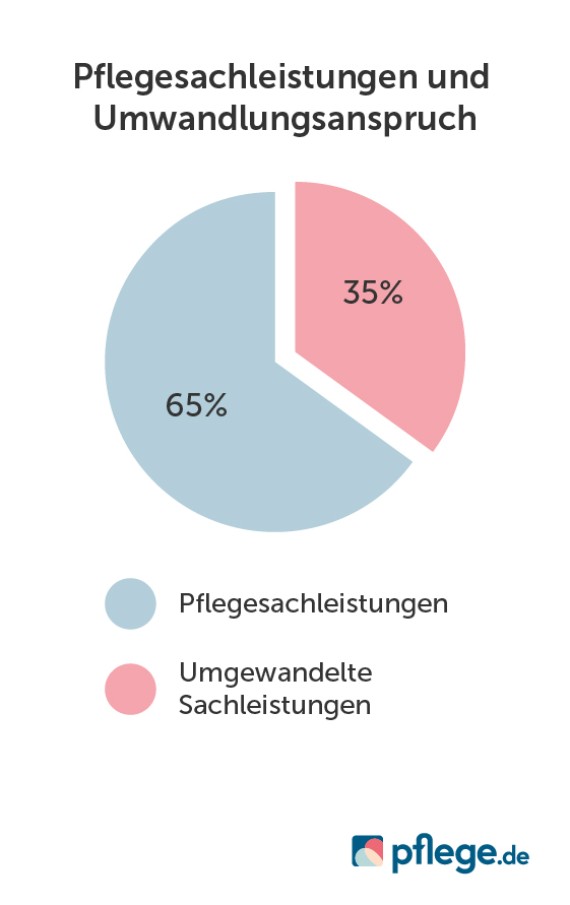 Umwandlungsanspruch Beispiel Pflegesachleistungen und Umgewandelte Sachleistungen