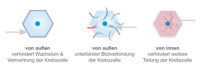 Zielgerichtete Krebstherapie: Wirkweise der Medikamente
